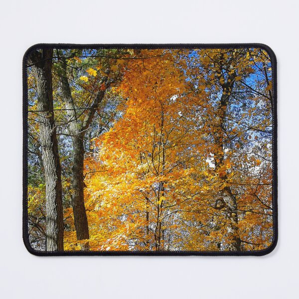 Item preview, Fall Maple, School Forest, madison, Wisconsin designed and sold by StevenRalserPhoto.