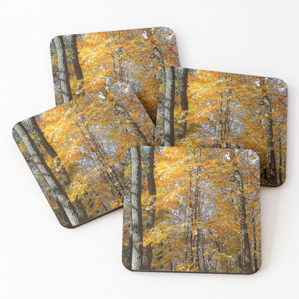 Item preview, Fall Maple, School Forest, madison, Wisconsin designed and sold by StevenRalserPhoto.