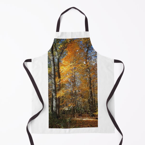 Item preview, Fall Maple, School Forest, madison, Wisconsin designed and sold by StevenRalserPhoto.
