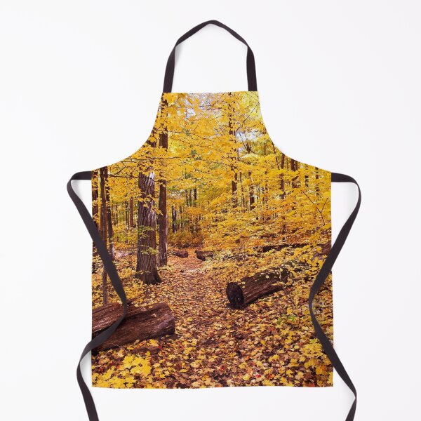 Item preview, Fall Trail, UW Arboretum, Madison, WI designed and sold by StevenRalserPhoto.