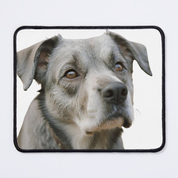 Item preview, the sad dog designed and sold by navigatorsteel.