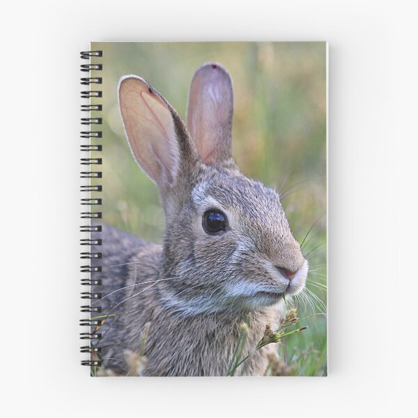 Item preview, Eastern cottontail bunny designed and sold by Linda Crockett.