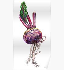 Beetroot Poster