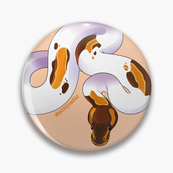 Item preview, Orange Dream “Pumpkin” Pied Ball Python illustration by @Sciquatic designed and sold by Sciquatic-Arts.