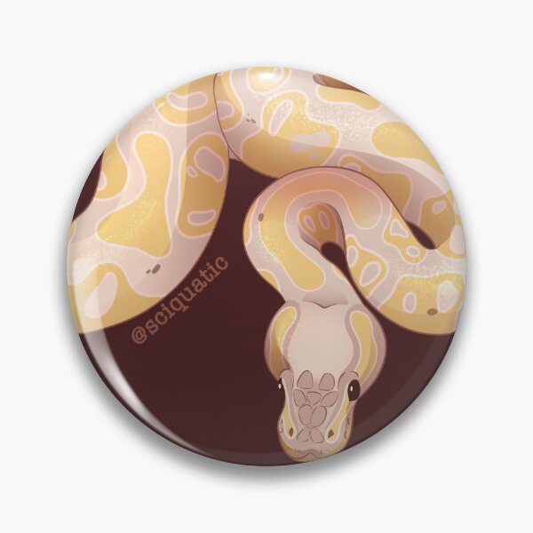 Item preview, Banana Ball Python illustration by @Sciquatic designed and sold by Sciquatic-Arts.