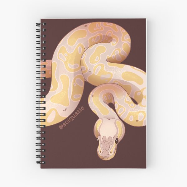 Item preview, Banana Ball Python illustration by @Sciquatic designed and sold by Sciquatic-Arts.