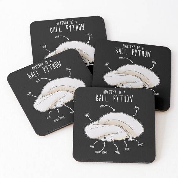 Item preview, Leucistic Ball Python Anatomy designed and sold by Clara Hollins.