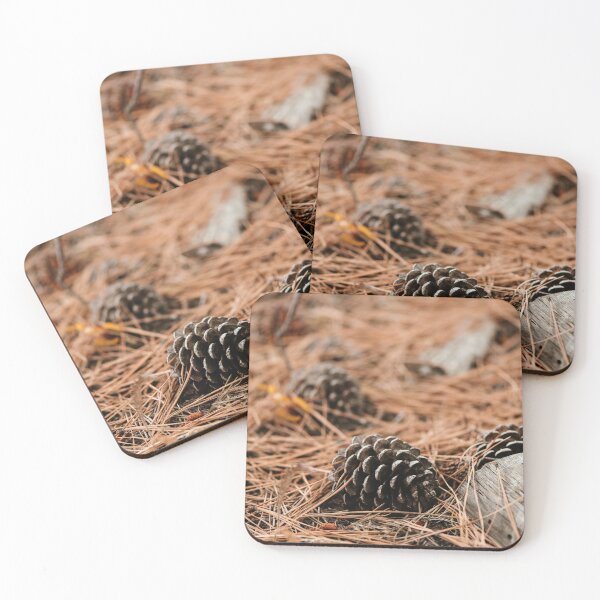 Item preview, Ponderosa cones designed and sold by millivedder.