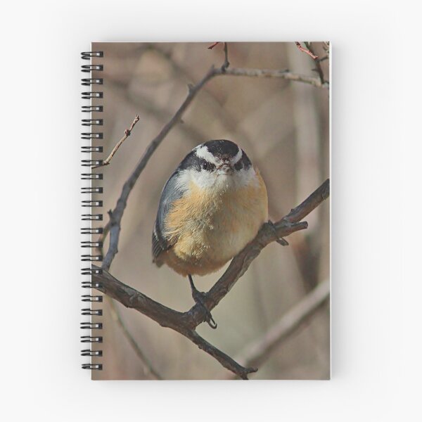 Item preview, Red-breasted Nuthatch designed and sold by Linda Crockett.