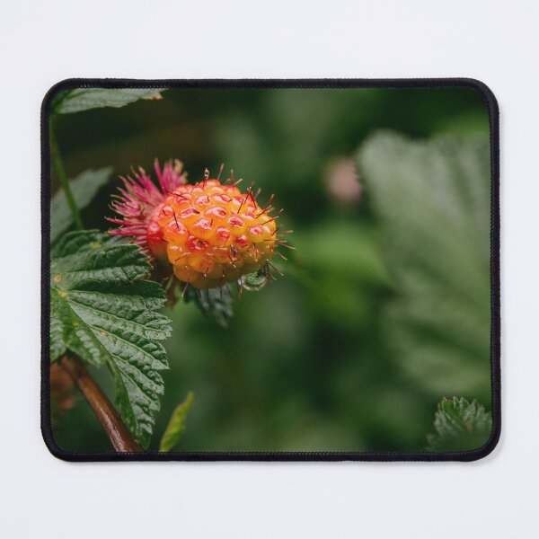 Item preview, Salmonberry designed and sold by millivedder.