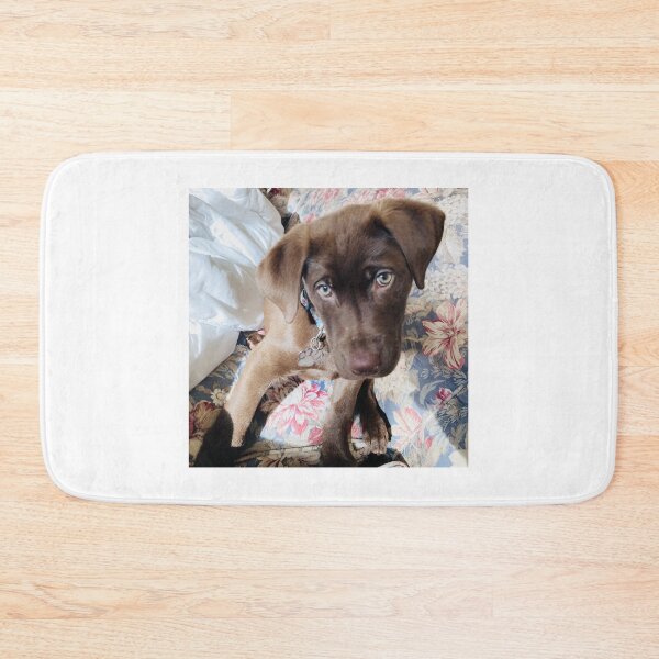 Item preview, Adorable Chocolate Lab Puppy designed and sold by emscaroline.