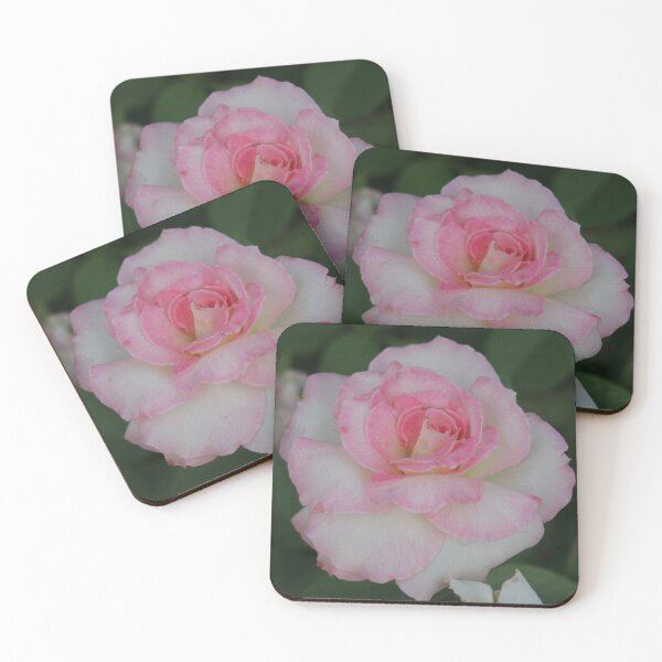 Item preview, Pink Rose designed and sold by STHogan.