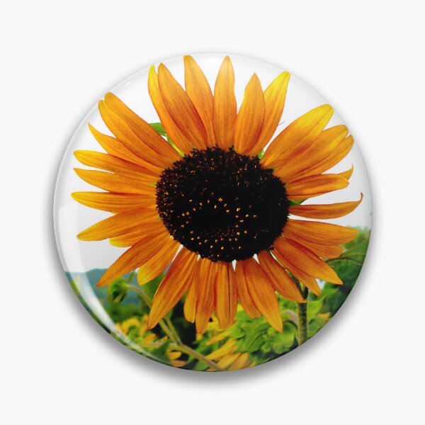 Item preview, Sunflower designed and sold by TeraiNB.