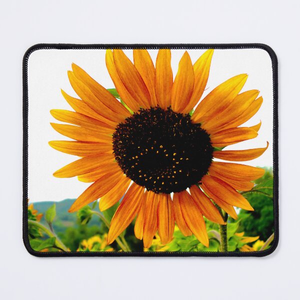 Item preview, Sunflower designed and sold by TeraiNB.
