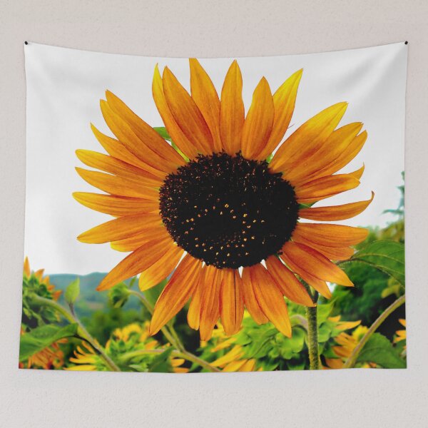 Item preview, Sunflower designed and sold by TeraiNB.
