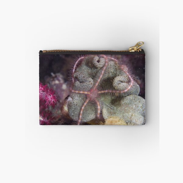 Item preview, Brittle Star designed and sold by Mark Rosenstein.