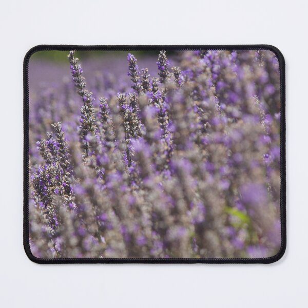 Item preview, Lavandula designed and sold by Kim Chi Thai.