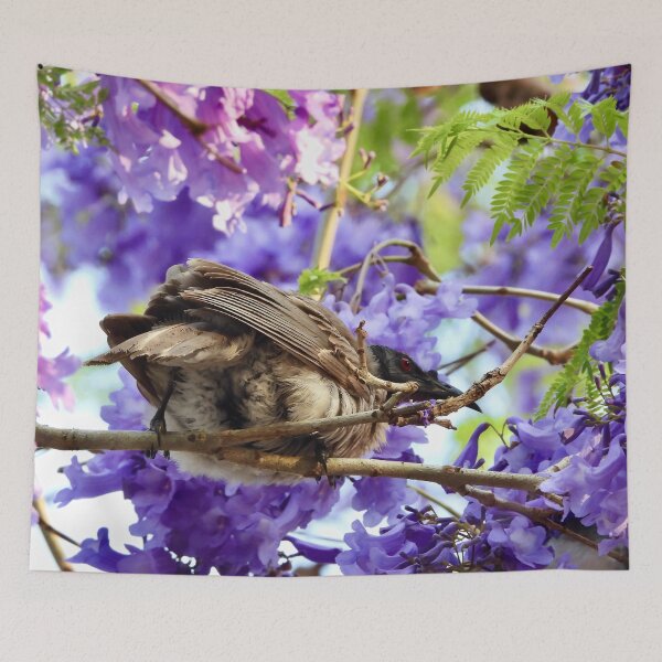 Item preview, Noisy Friarbird in purple Jacaranda tree designed and sold by Mark Grimsley.
