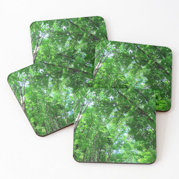 Item preview, Bilar Man-Made Forest Bohol, Philippines designed and sold by TeraiNB.