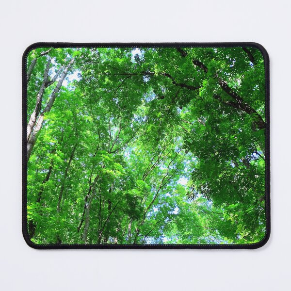 Item preview, Bilar Man-Made Forest Bohol, Philippines designed and sold by TeraiNB.