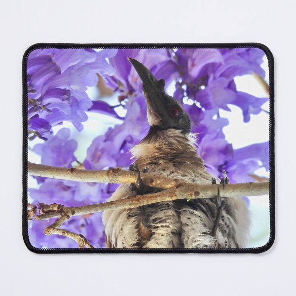 Item preview, Noisy Friarbird in Purple Flowers designed and sold by Mark Grimsley.