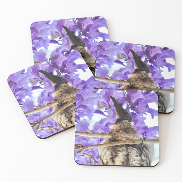Item preview, Noisy Friarbird in Purple Flowers designed and sold by Mark Grimsley.