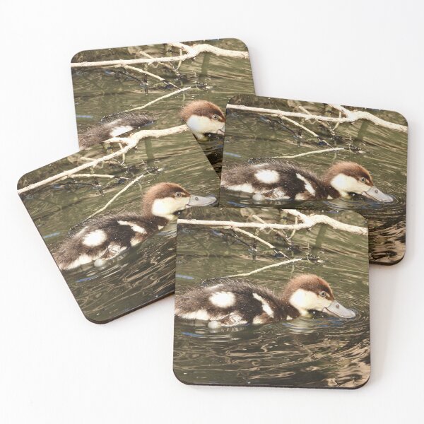 Item preview, Rajah Shelduck duckling designed and sold by Mark Grimsley.