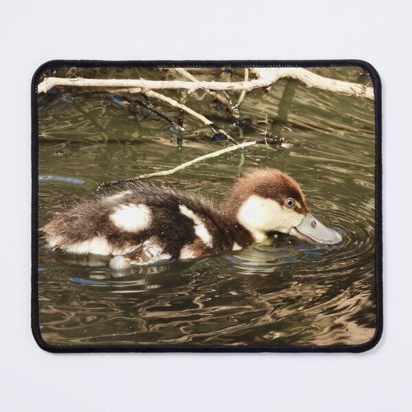 Item preview, Rajah Shelduck duckling designed and sold by Mark Grimsley.