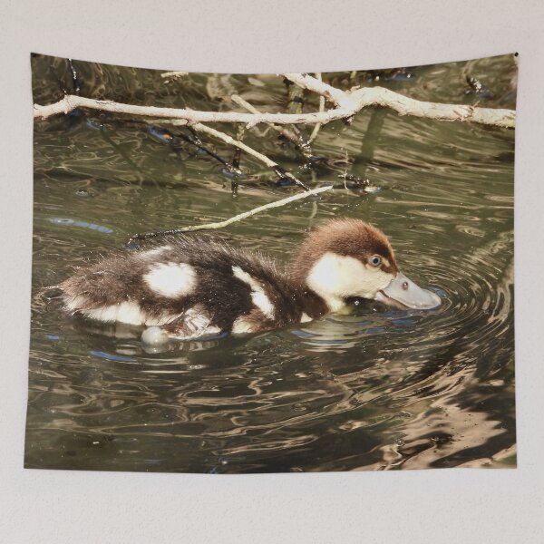 Item preview, Rajah Shelduck duckling designed and sold by Mark Grimsley.