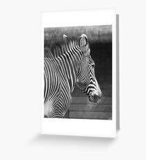 Need A Shave Greeting Card