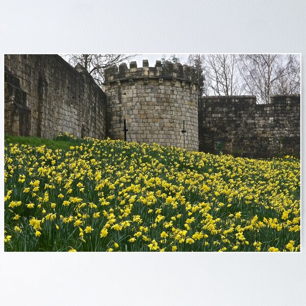 Item preview, The Walls of York designed and sold by John (Mike)  Dobson.