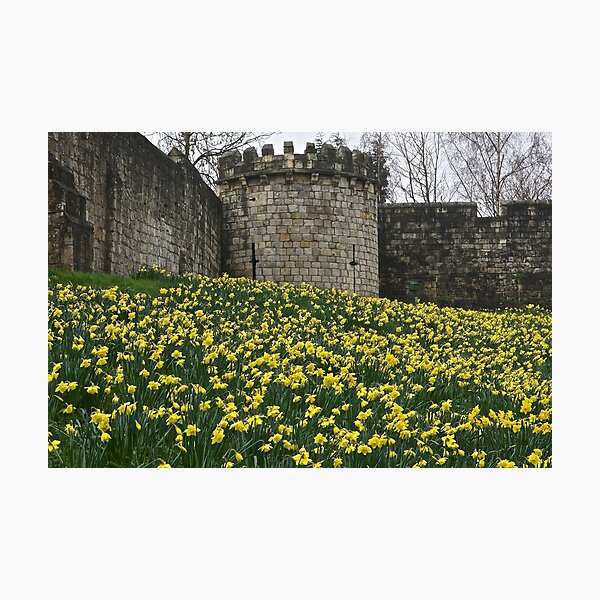 Item preview, The Walls of York designed and sold by John (Mike)  Dobson.