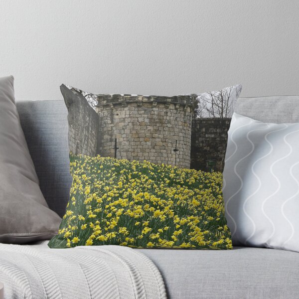 Item preview, The Walls of York designed and sold by John (Mike)  Dobson.