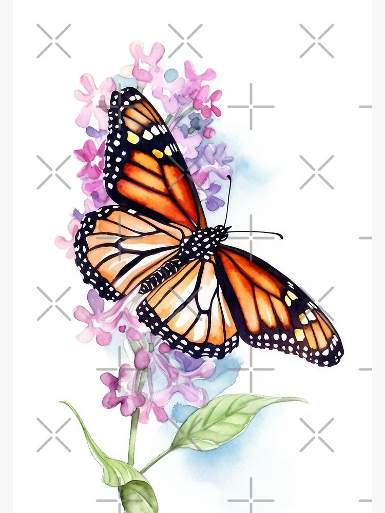 Butterfly Fine Art GiClee Nature Print: The orders Iconic Monarch. 16x18