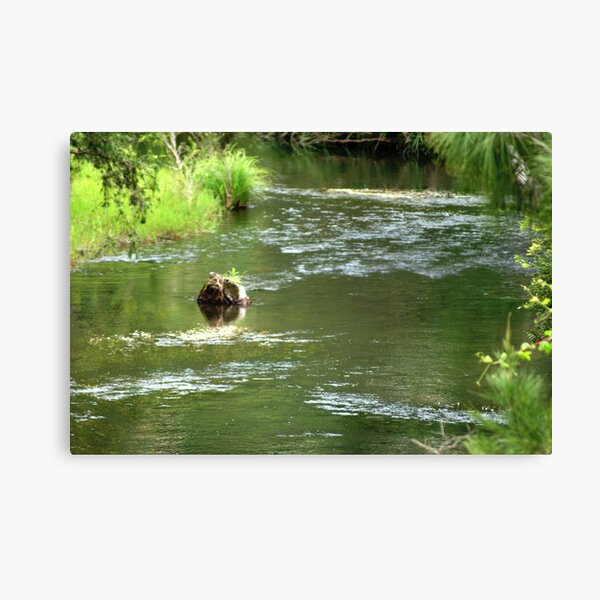 Calm water Canvas Print