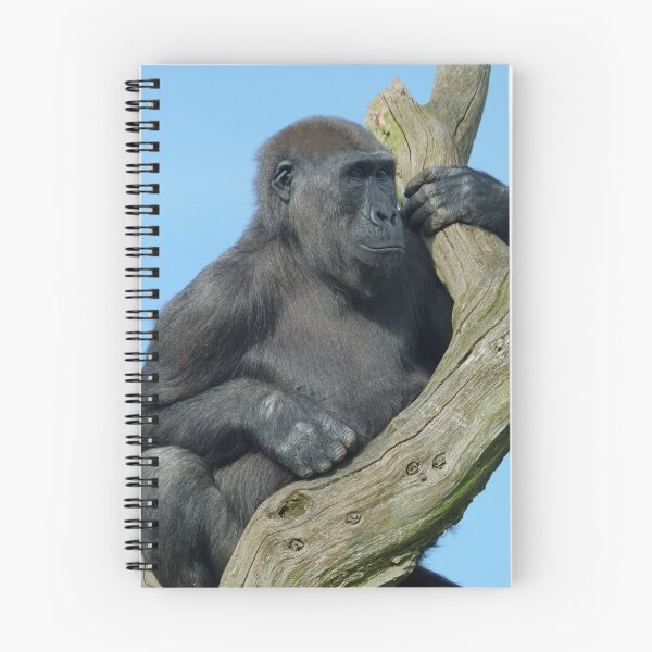 Artikelvorschau, Gorillas ruhiger Baumbarsch entworfen und verkauft von rawshutterbug.
