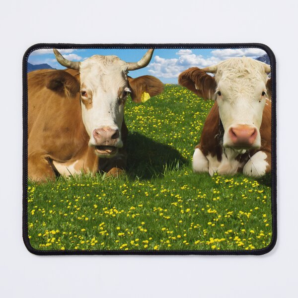 Item preview, highland cow designed and sold by animal-animal.