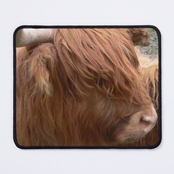 Item preview, Cow with horns - brown cow - fluffy cow designed and sold by animal-animal.