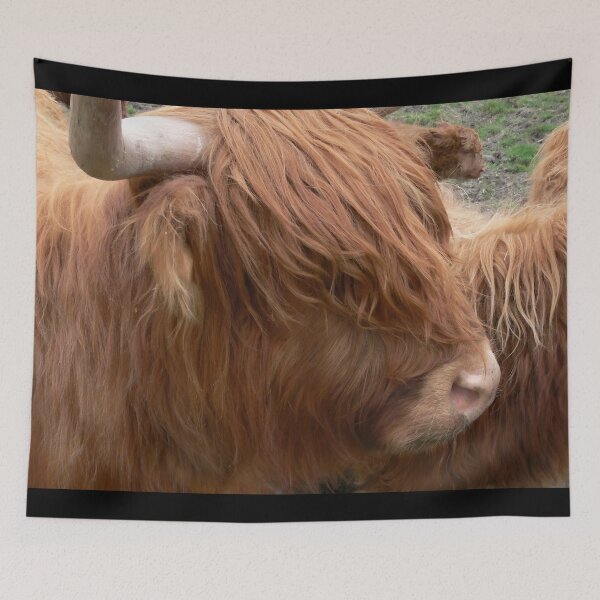 Item preview, Cow with horns - brown cow - fluffy cow designed and sold by animal-animal.