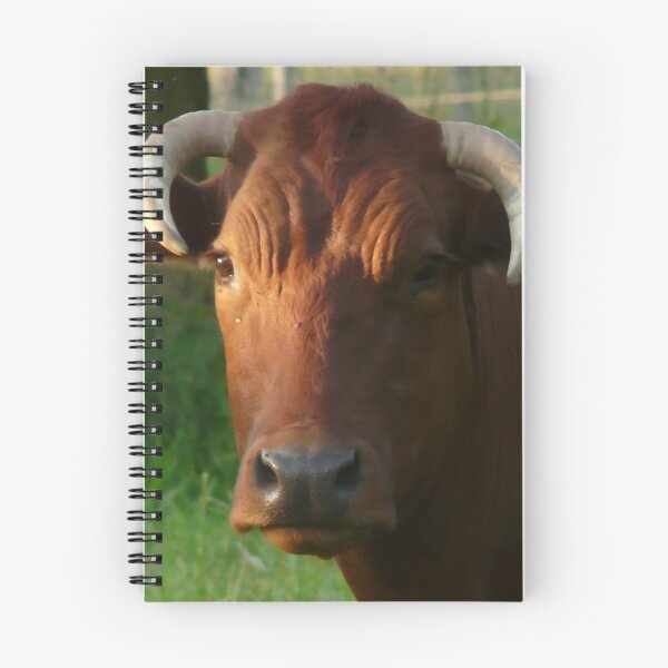 Item preview, Cow with horns - brown cow designed and sold by animal-animal.