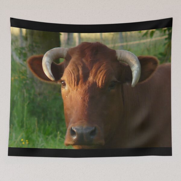 Item preview, Cow with horns - brown cow designed and sold by animal-animal.
