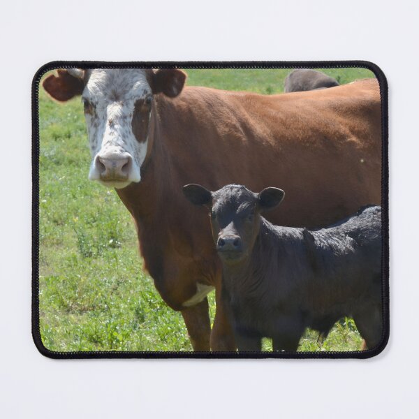 Item preview, Cow with horns - brown cow - black cow designed and sold by animal-animal.