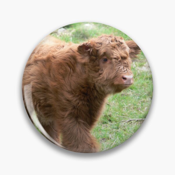 Item preview, Cow with horns - brown cow - fluffy cow - calf designed and sold by animal-animal.