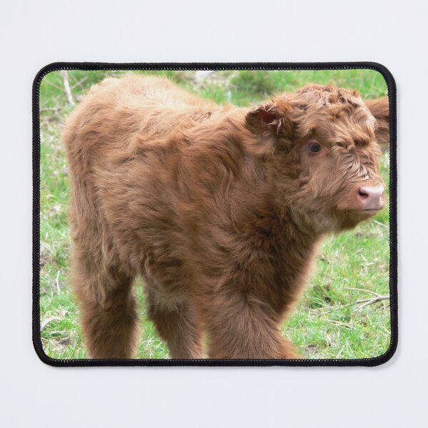 Item preview, Cow with horns - brown cow - fluffy cow - calf designed and sold by animal-animal.