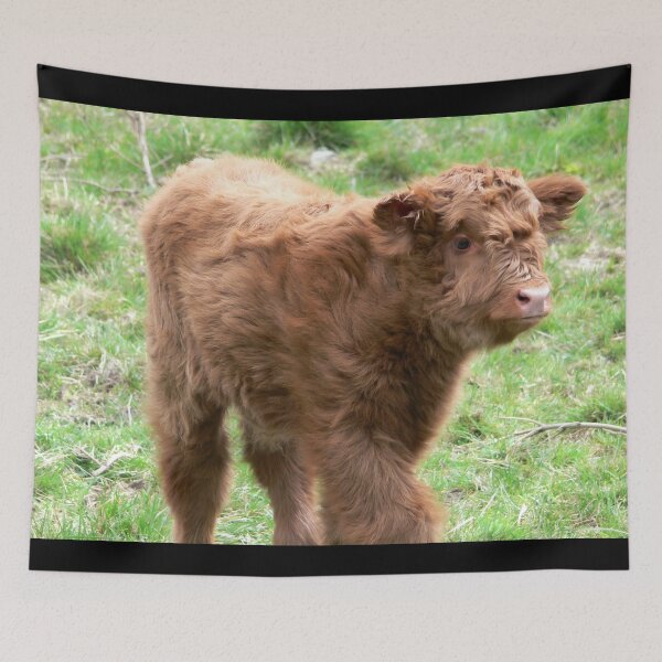 Item preview, Cow with horns - brown cow - fluffy cow - calf designed and sold by animal-animal.