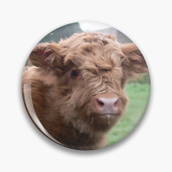 Item preview, calf - brown cow - fluffy cow designed and sold by animal-animal.