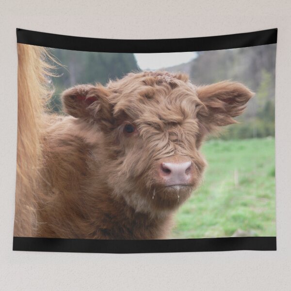 Item preview, calf - brown cow - fluffy cow designed and sold by animal-animal.