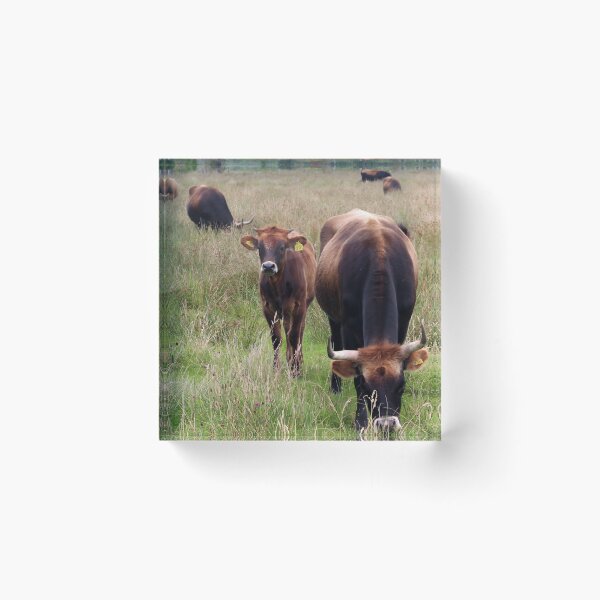 Artikelvorschau, Cow with horns - brown cow entworfen und verkauft von animal-animal.