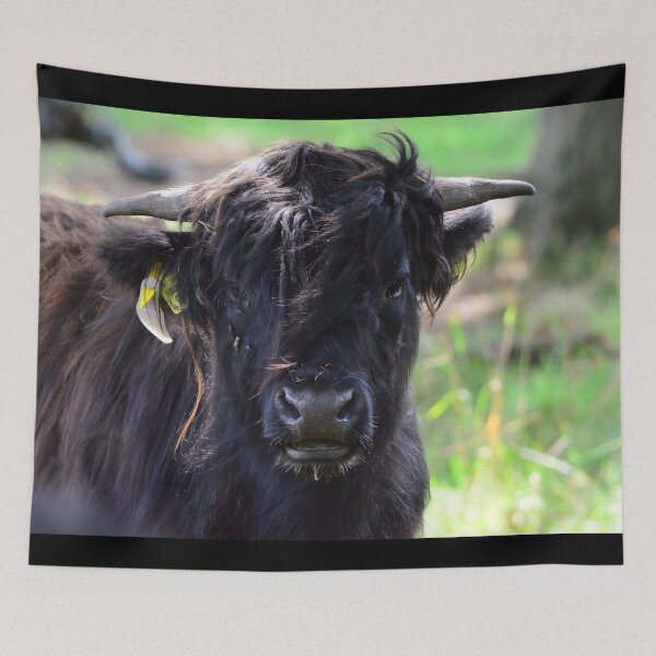 Item preview, Cow with horns - brown cow - fluffy cow designed and sold by animal-animal.