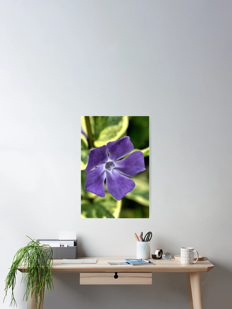 Thumbnail 2 of 3, Poster, Spring Time designed and sold by Joy Watson - Natural Light Photography .